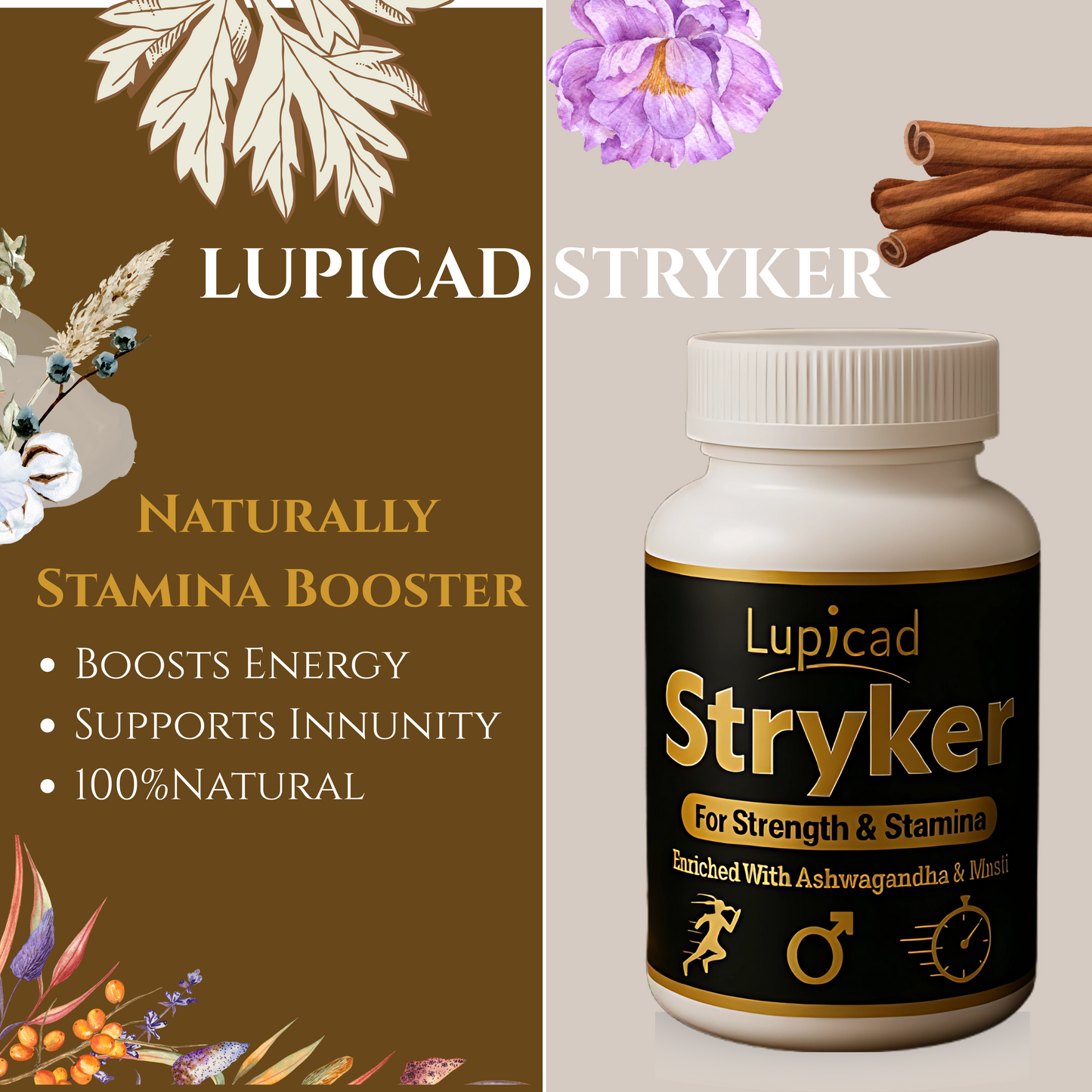 Lupicad Stryker : Boost Your Energy, Reignite Your Power – Naturally!