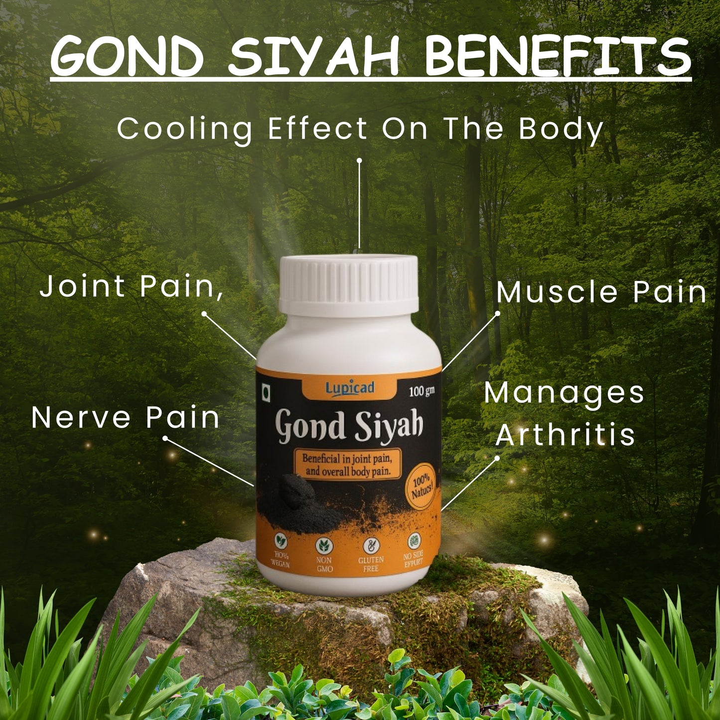 Lupicad Gond Siyah – 100g | Ayurvedic Remedy for Joint Pain & Bone Health | Natural Resin for Strength & Flexibility